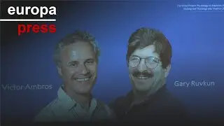 El Nobel de Medicina premia a Victor Ambros y Gary Ruvkun, por su descubrimiento del microARN