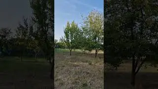 Полтавщина, вечер, 02.08.24