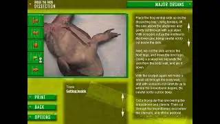 Insight-clopedia Frog