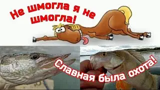 Славная была охота! Не шмогла я не шмогла!