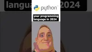 POV: your programming language in 2024 #programming #top
