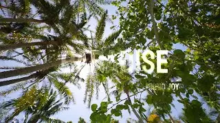 Mario Joy - Paradise | Visualizer