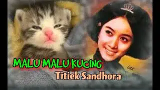 MALU MALU KUCING - Titiek Sandhora