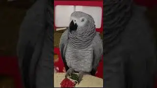 - что за компания у нас?          -  темная!..