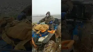 встретили зиму на копе