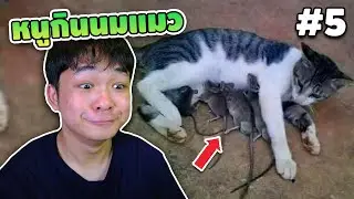 EP.5 หนูกินนมแมว เป็นไปไม่ได้555+ #เกเรดูมีม SS2