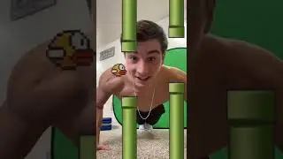 Longest flappy bird push-ups
