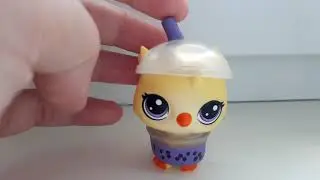 Новый пет!А так же новости!!