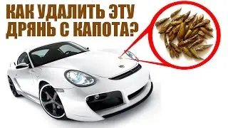КАК УДАЛИТЬ ТОПОЛИНУЮ СМОЛУ? Лайфхак.
