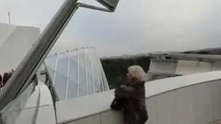 Fondation Louis Vuitton