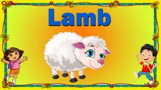 Four Letter Words || Preschool Learning || 4 Letter Words Kids Education Video || 4 Letters words