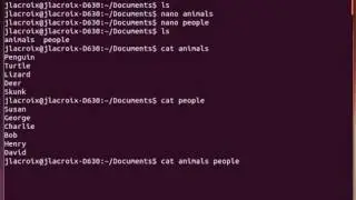 Tutorial Linux Commands for Beginners  The cat Command Open Source