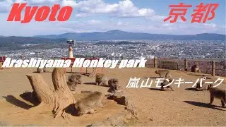 Kyoto Arashiyama Monkey park 　京都・嵐山モンキーパーク