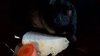 Манюня