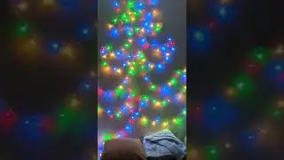Ёлочка гори#Shorts#Christmas tree