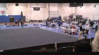 Cat Hires Floor and Vault