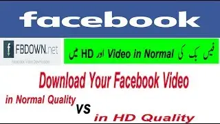 Download Your Facebook Videos in Normal Quality and HD Quality 2019