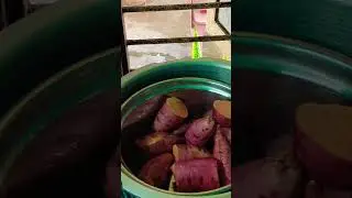 Sweet potatoes #trendingshorts #vegetables #trending