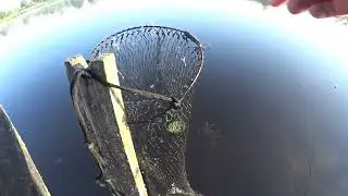 Утром на рыбалке