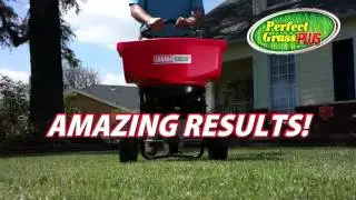 Perfect Grass Plus As Seen On TV