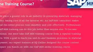 A Beginners’ Guide to SAP MM tutorial – IQ Online Training