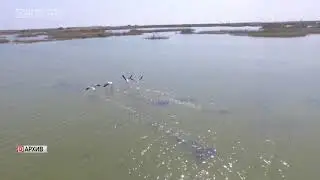 Свыше 16 млн рублей получит Дагестан на экореабилитацию озера Аджи-Папас