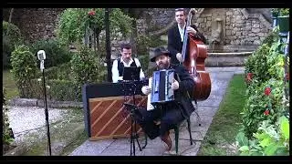 Velvet Rose Live Band - Medley Jazz /Chanson Française (instrumental)