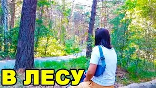 Что мы делаем в лесу?