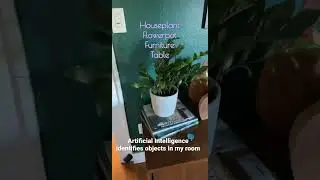 Using AI in my room - potential use case for those with low vision