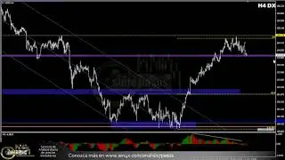 Forex con Café del 4 de Noviembre del 2024
