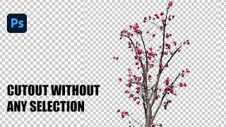 Prefect CUTOUT WITHOUT Any Selection in Photoshop #piximperfect