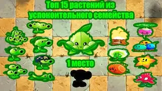 Топ 15 растений из УСПОКОИТЕЛЬНОГО семайства,от худшего к лучшему