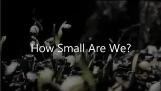 How small are we?