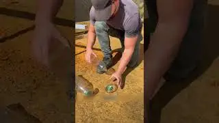 A man revealed the secret of a FREE FEEDING TROUGHT🤓🔥🙌