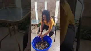 VIRAL !!!  CWE-CWE PADA JAGO PECAHIN BOTOL