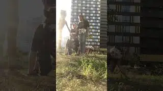 Я хулиганка