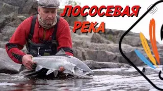 ЛОСОСЕВАЯ РЕКА