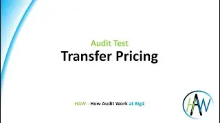 6.54 Audit Test - Transfer Pricing * Preview *