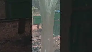 Как только качать мёд пошел дождь которого небыло два месяца...⚡⛅