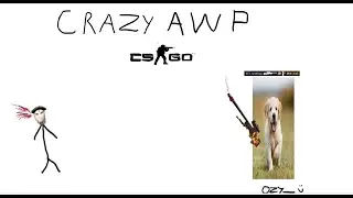 Awp 3k 