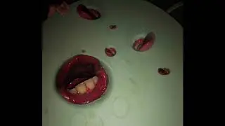 Death Grips - The Horn Section