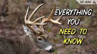 Deer biologist explains how to make yourself UNDETECTABLE to Whitetails!