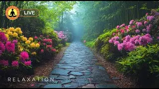 🔴 Relaxing Sleep Music 24/7, Soothing Relaxation, Sleeping Music, Meditation, Study, Relax, Sleep