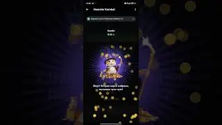 комбо дня для хомяка 26.06.2024 (hamster kombat)