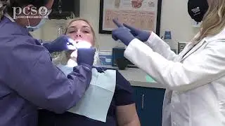 Learning about the Dental Assisting program at PTC St. Petersburg