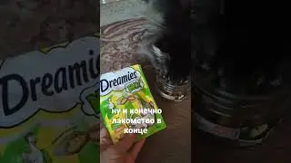 Maine Coon during shedding #animals #животные #tiktok #тикток #шортс #shorts #tt #рекомендации #love