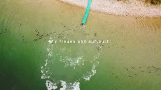 D' Wörthseefischer e.V. - Abfischen 8.10.22