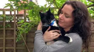 Коты тоже умеют любить? | Мозговедение