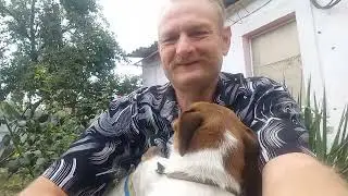 У собачок уся увага до нового члена родини,  а ми робимо сушку із сливи.