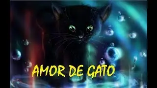 AMOR DE GATO 💛😺